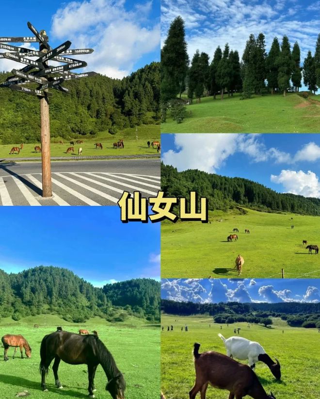 庆旅游4天3晚费用攻略+怎么玩+避坑！球王会入口重庆4日游跟团要多少钱？重(图1)