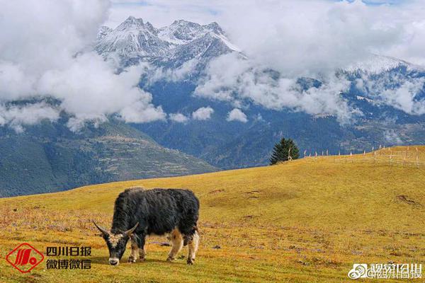 咬小头头原版观看蘑菇最新咬小头头原版观看蘑菇-(图1)
